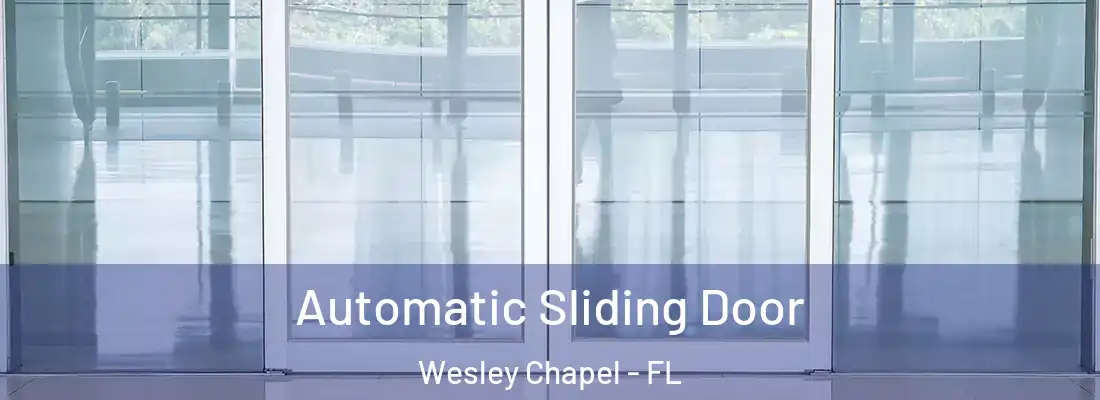 Automatic Sliding Door Wesley Chapel - FL