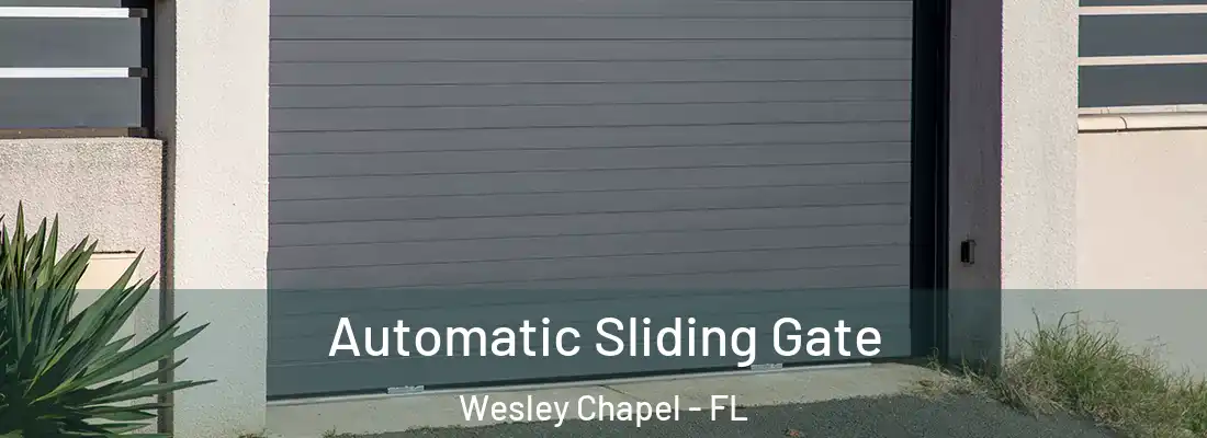 Automatic Sliding Gate Wesley Chapel - FL