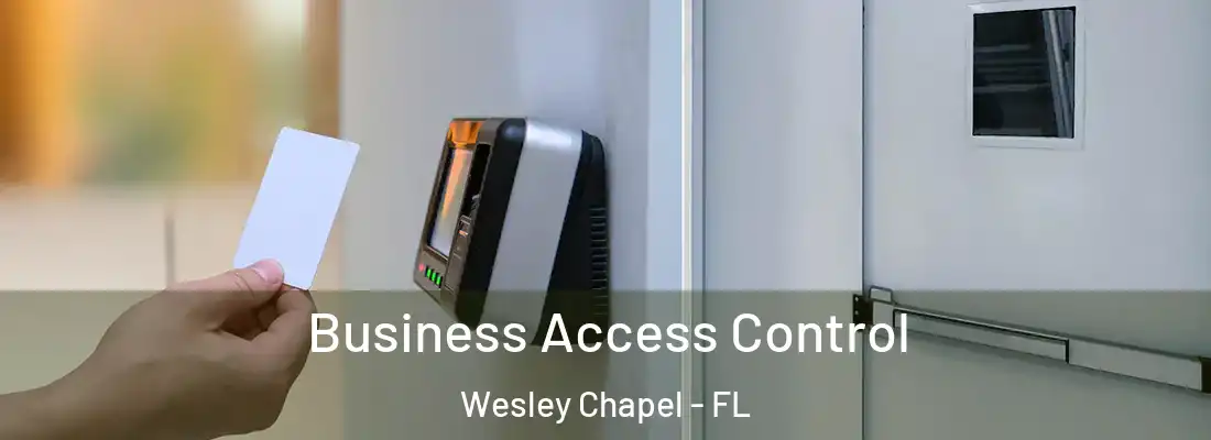 Business Access Control Wesley Chapel - FL