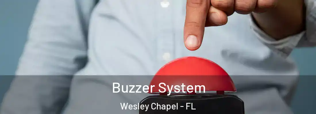 Buzzer System Wesley Chapel - FL