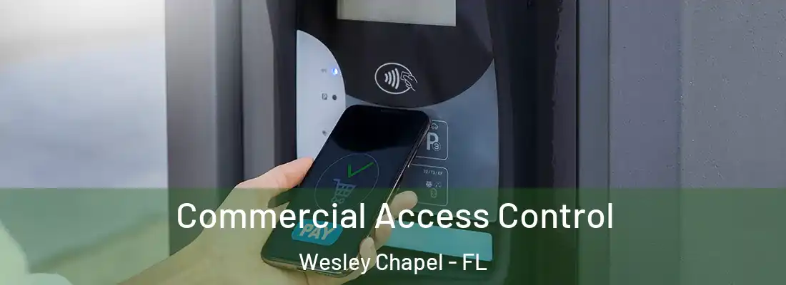 Commercial Access Control Wesley Chapel - FL