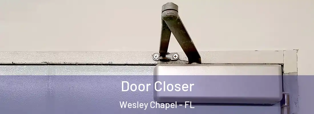 Door Closer Wesley Chapel - FL
