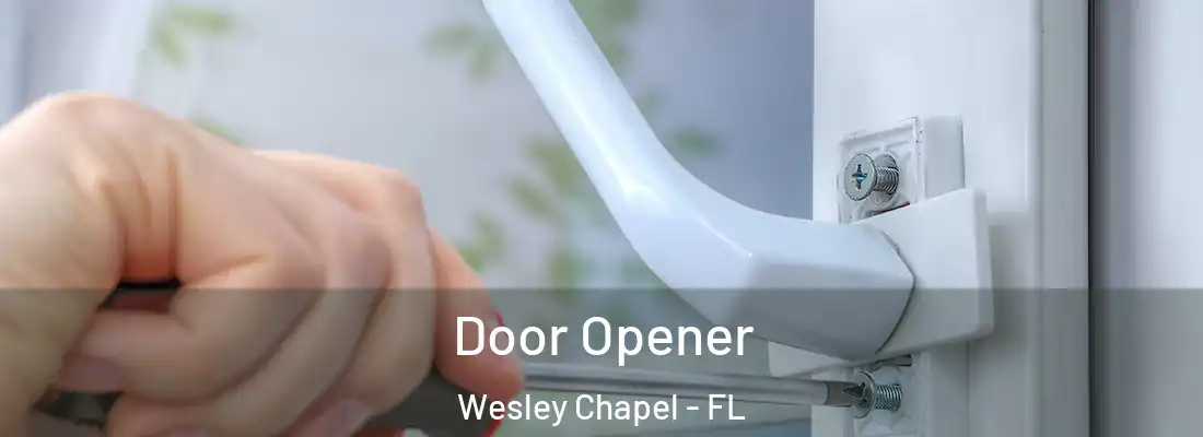 Door Opener Wesley Chapel - FL