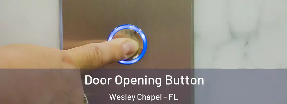 Door Opening Button Wesley Chapel - FL