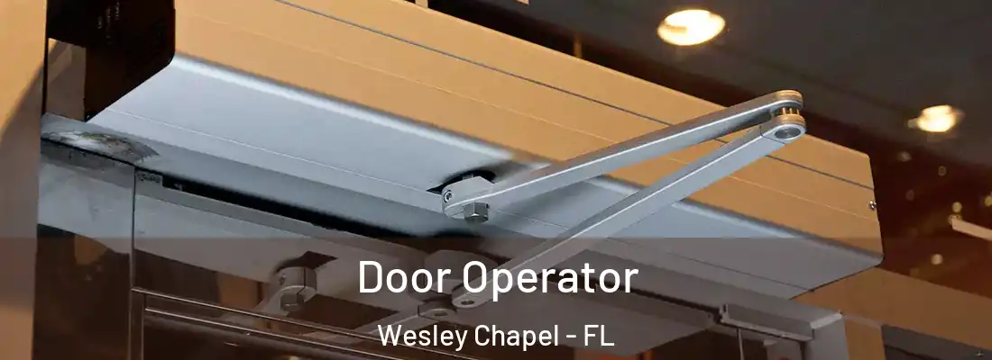 Door Operator Wesley Chapel - FL