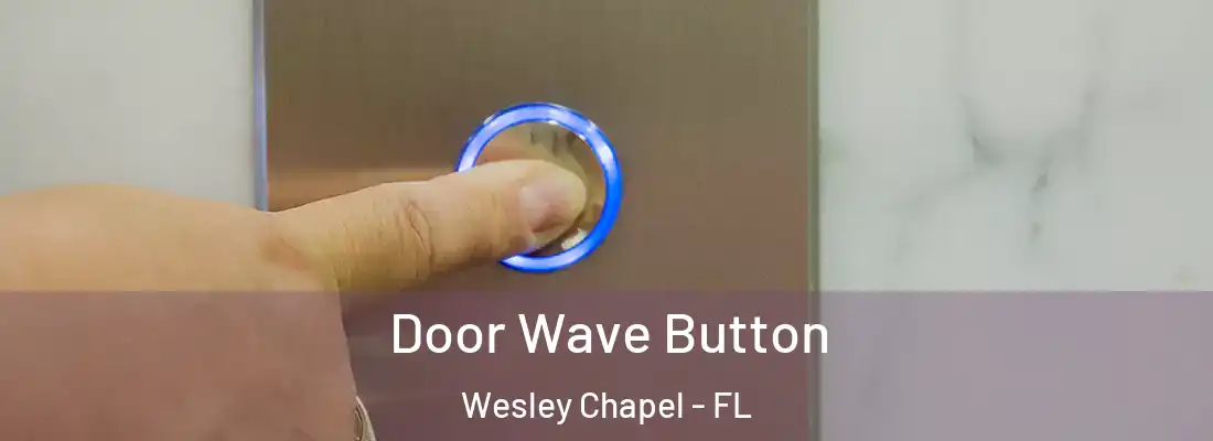 Door Wave Button Wesley Chapel - FL