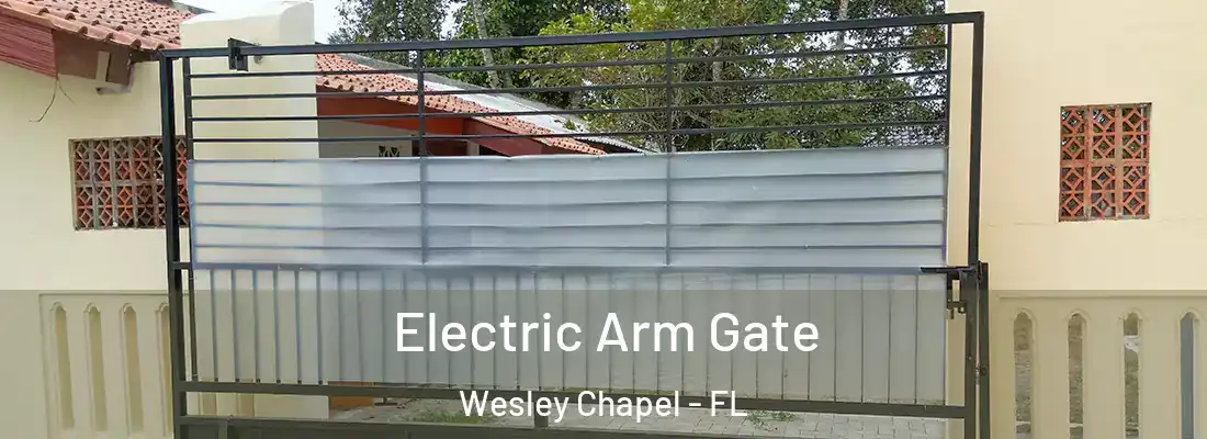  Electric Arm Gate Wesley Chapel - FL
