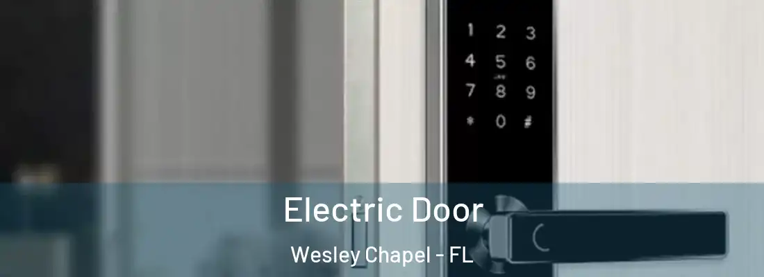 Electric Door Wesley Chapel - FL