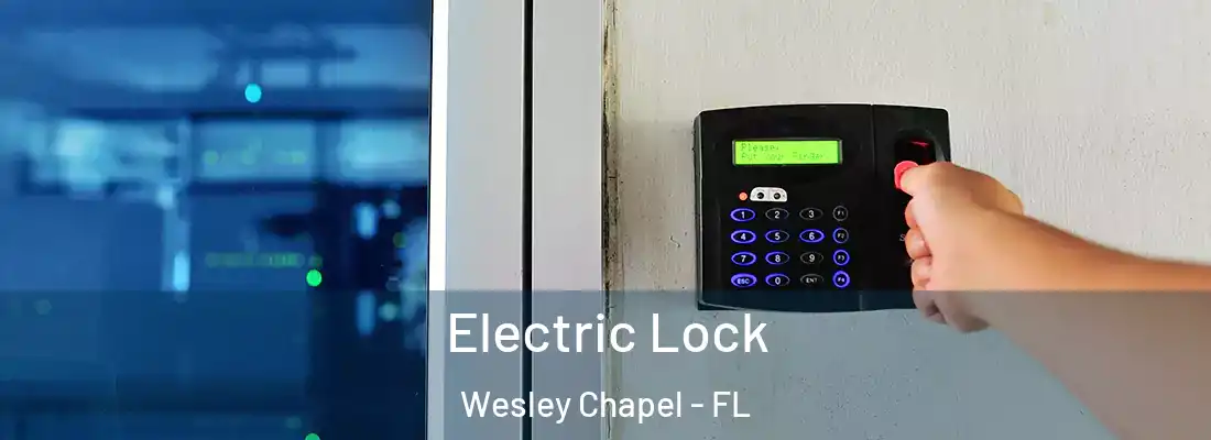 Electric Lock Wesley Chapel - FL