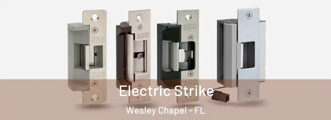 Electric Strike Wesley Chapel - FL