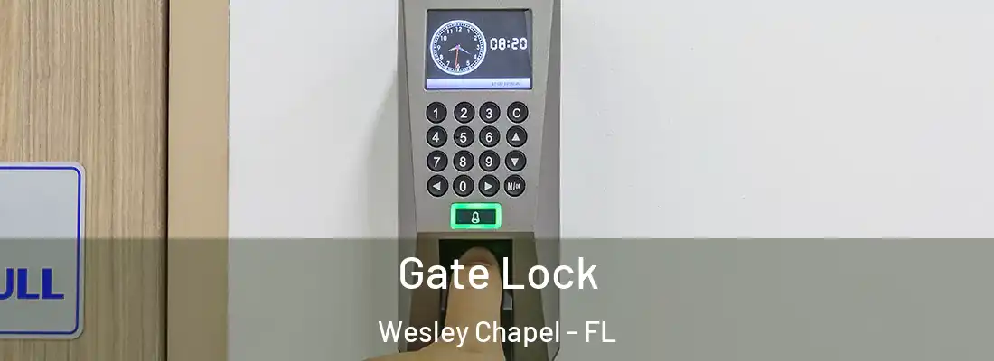 Gate Lock Wesley Chapel - FL