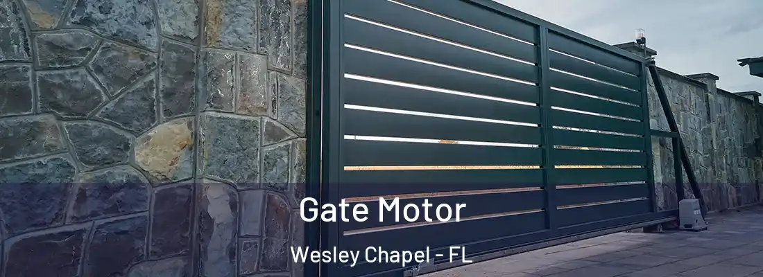 Gate Motor Wesley Chapel - FL