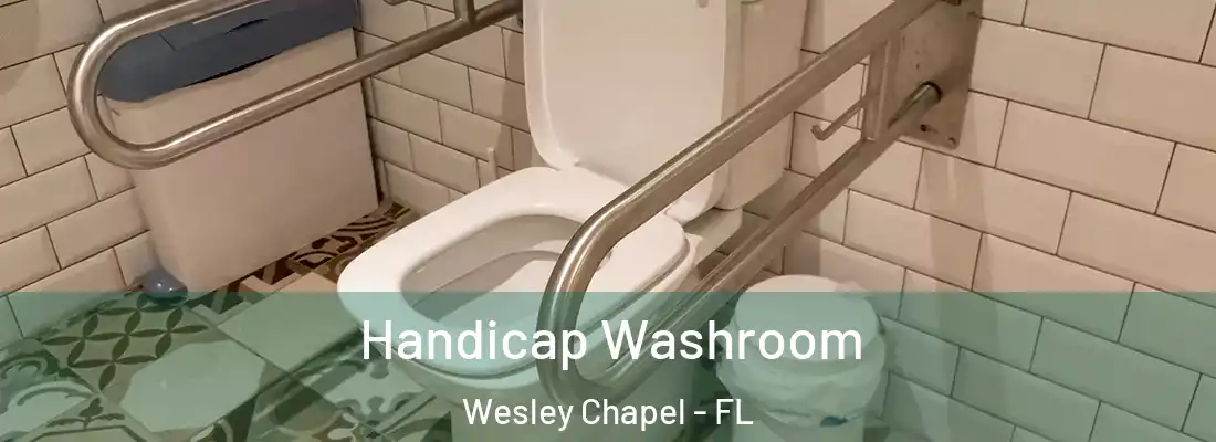 Handicap Washroom Wesley Chapel - FL