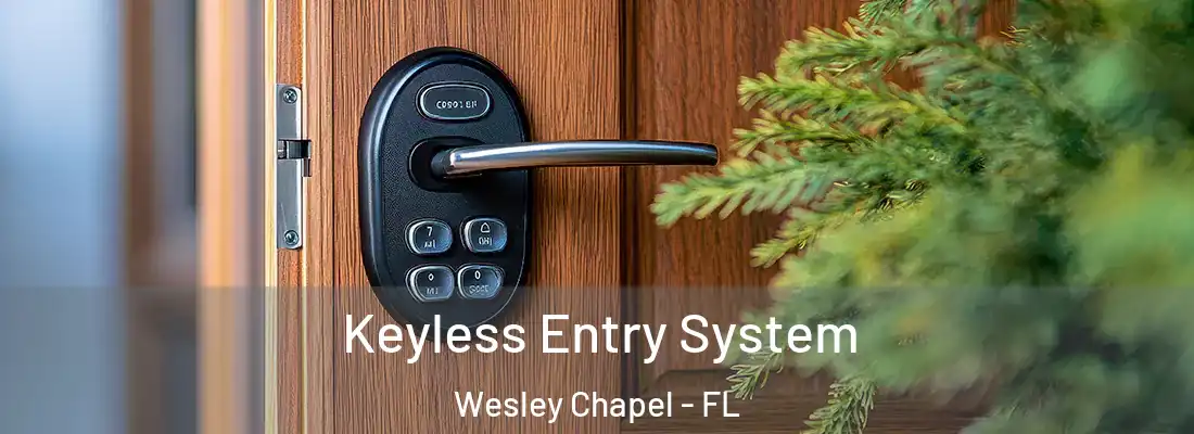 Keyless Entry System Wesley Chapel - FL