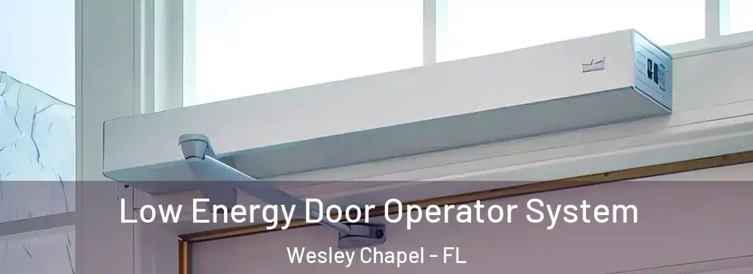 Low Energy Door Operator System Wesley Chapel - FL