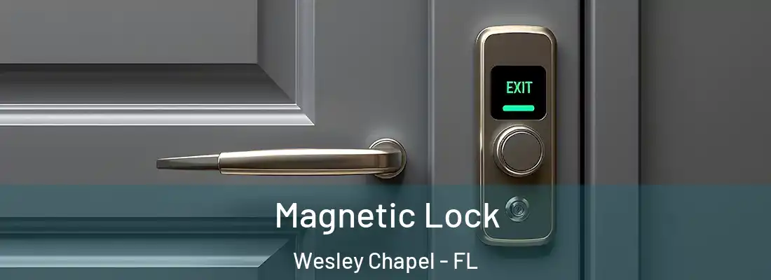 Magnetic Lock Wesley Chapel - FL