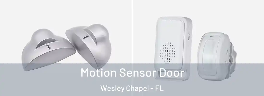 Motion Sensor Door Wesley Chapel - FL