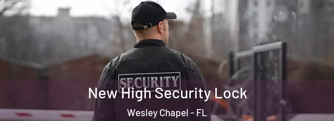 New High Security Lock Wesley Chapel - FL