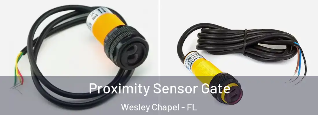 Proximity Sensor Gate Wesley Chapel - FL