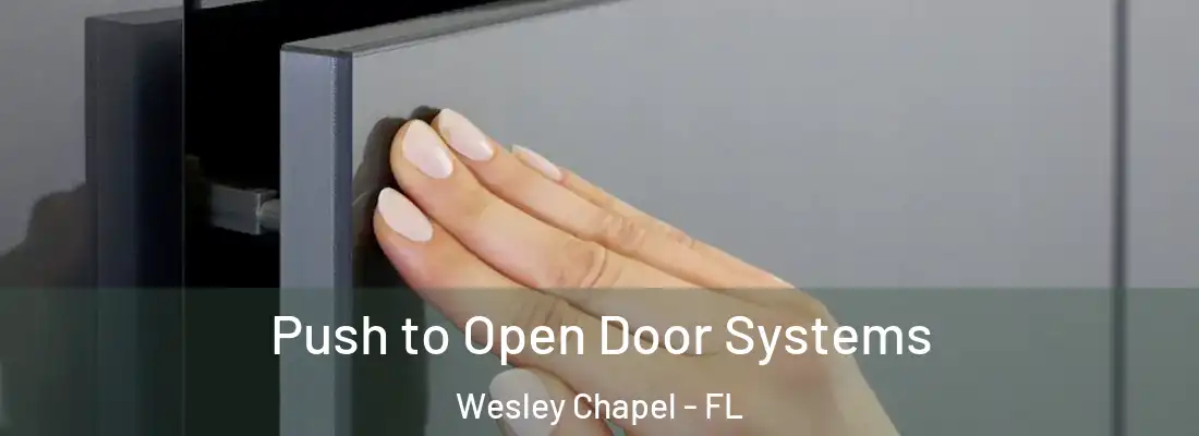 Push to Open Door Systems Wesley Chapel - FL