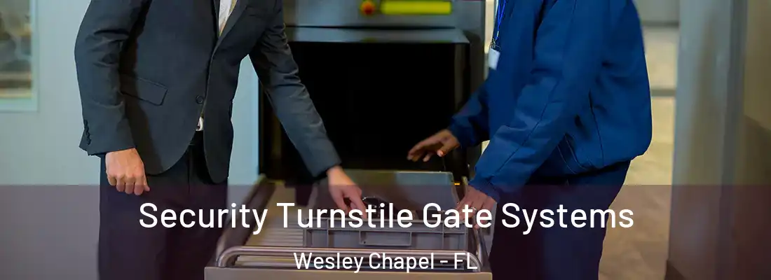 Security Turnstile Gate Systems Wesley Chapel - FL