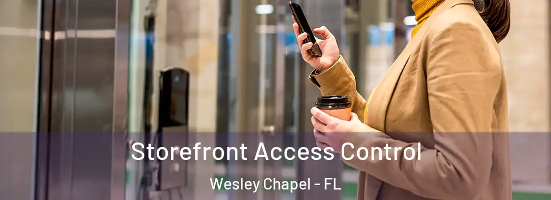 Storefront Access Control Wesley Chapel - FL