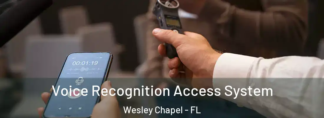 Voice Recognition Access System Wesley Chapel - FL